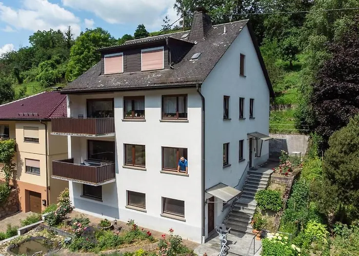 Apartmán Rheintal-ferien - 90 Qm Mit Wine & Style - Dein Urlaub Am Rhein